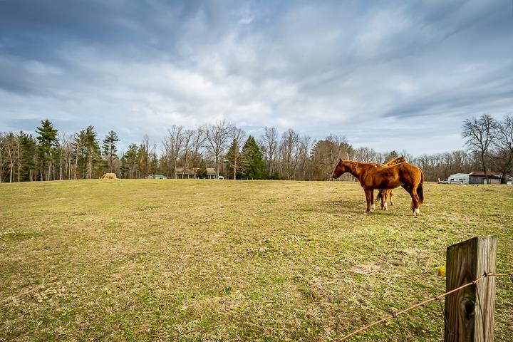 2329 Roslin Road Jamestown, TN 38556 - Photo 30 of 30 a view of a lake with a big yard