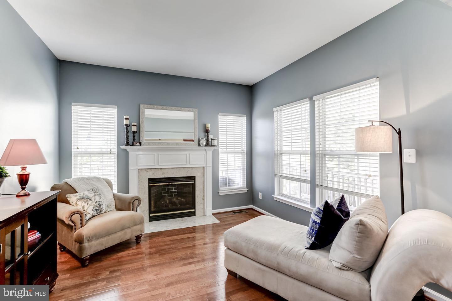 10106 Sir Reynard Lane Bristow, VA 20136 - Photo 12 of 28 a living room with furniture and a fireplace