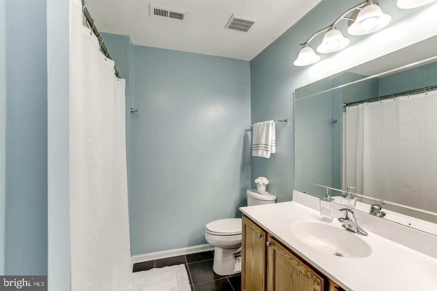 10106 Sir Reynard Lane Bristow, VA 20136 - Photo 18 of 28 a bathroom with a sink a toilet and mirror