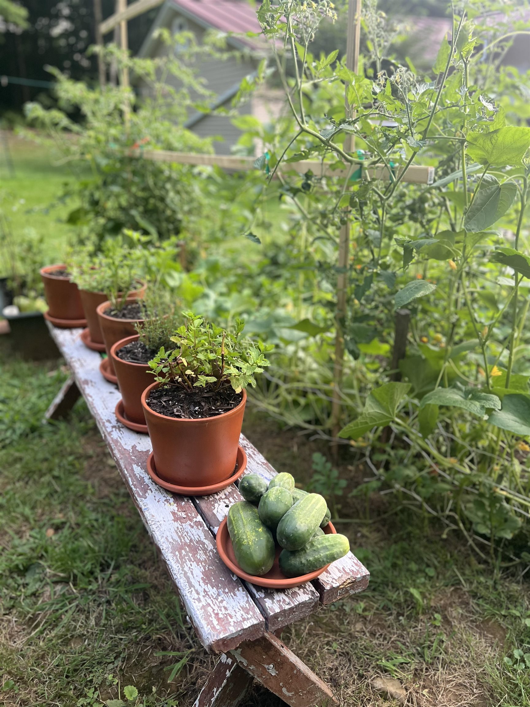 1537 Lake Dunmore Road Leicester, VT 05733 - Photo 33 of 43