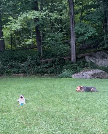 $468,000 | 1537 Lake Dunmore Road, Leicester, VT 05733