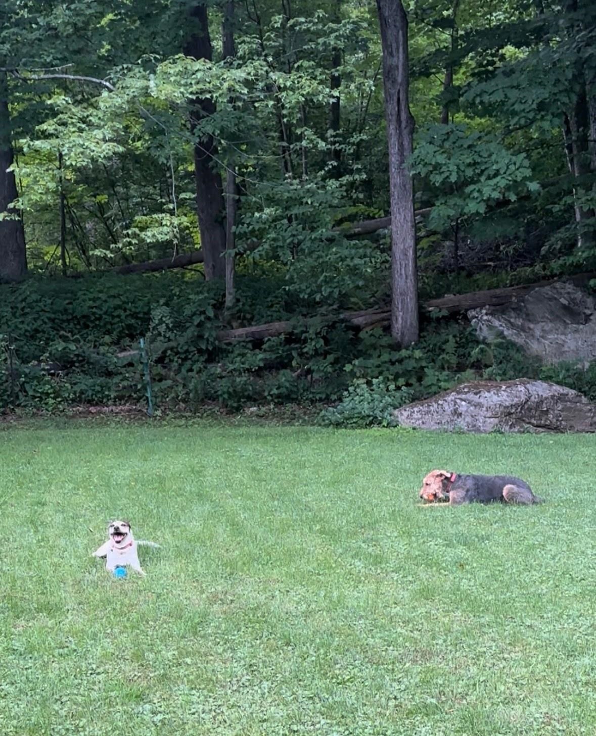 1537 Lake Dunmore Road Leicester, VT 05733 - Photo 34 of 43