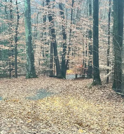 $468,000 | 1537 Lake Dunmore Road, Leicester, VT 05733