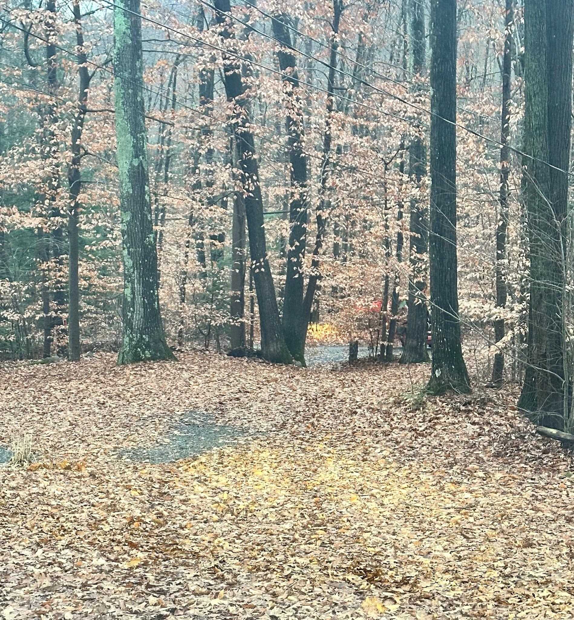 1537 Lake Dunmore Road Leicester, VT 05733 - Photo 36 of 43