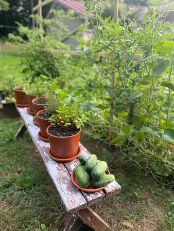 $468,000 | 1537 Lake Dunmore Road, Leicester, VT 05733