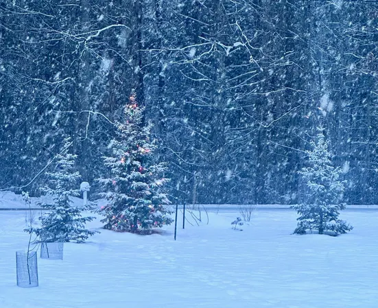 $468,000 | 1537 Lake Dunmore Road, Leicester, VT 05733