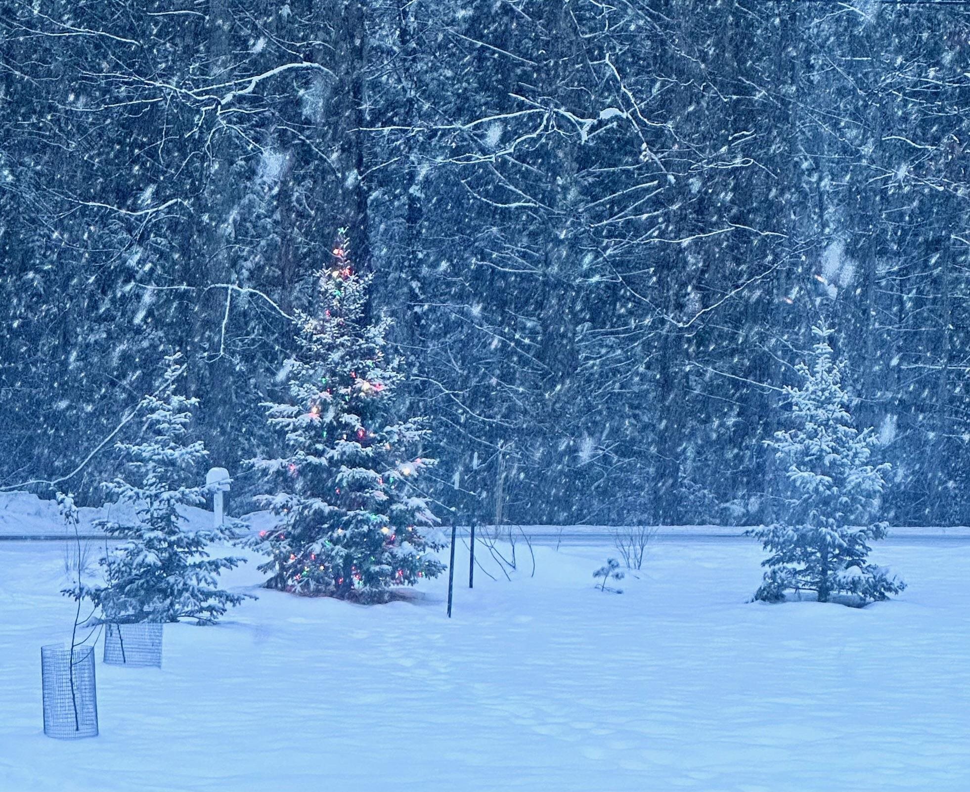 1537 Lake Dunmore Road Leicester, VT 05733 - Photo 38 of 43