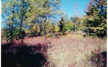 5649 North Raymond Road Luther, MI 49656 - Photo 2 of 4 Additional Photo