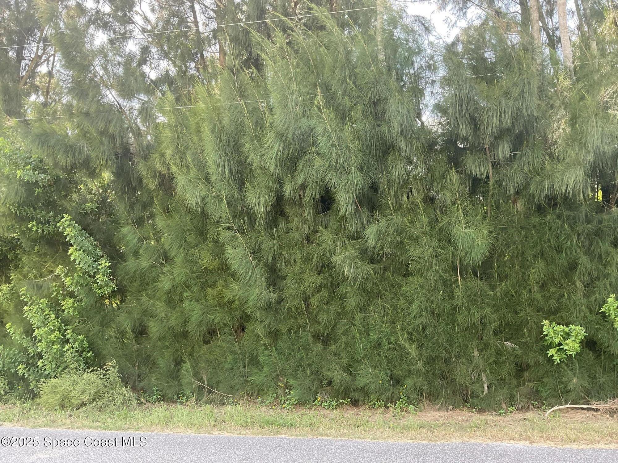 0 Arabella Lane Lane Cocoa, FL 32927 - Photo 2 of 4 a view of a yard