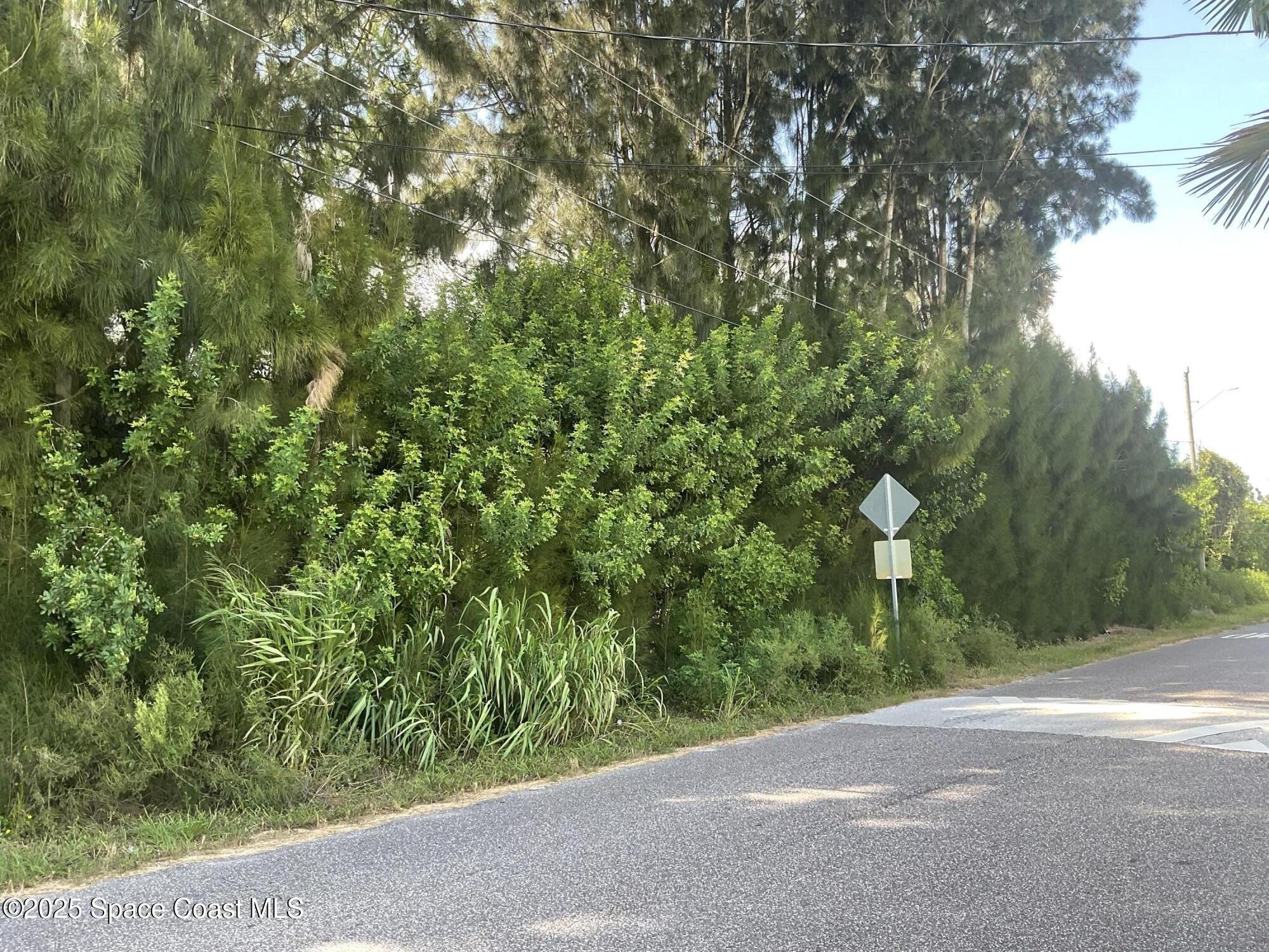0 Arabella Lane Lane Cocoa, FL 32927 - Photo 3 of 4 a backyard of a house with lots of green space