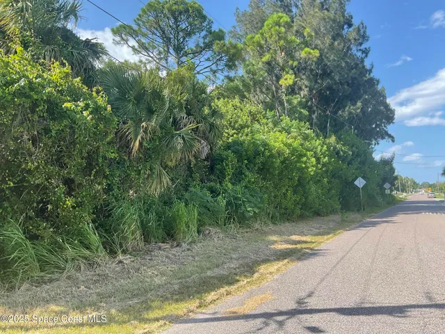 a view of a yard with plants and large trees