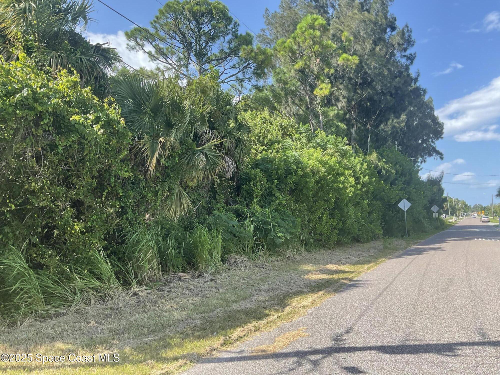 0 Arabella Lane Lane Cocoa, FL 32927 - Photo 4 of 4 a view of a yard with plants and large trees