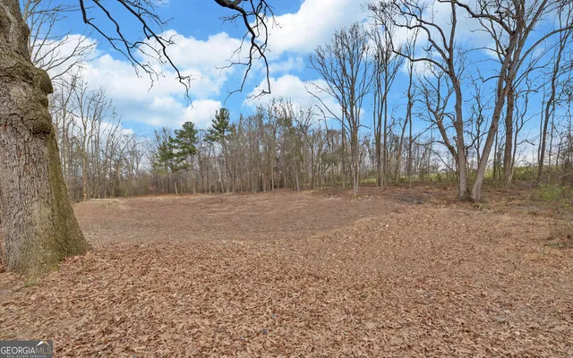 a backyard of a house with lots of green space