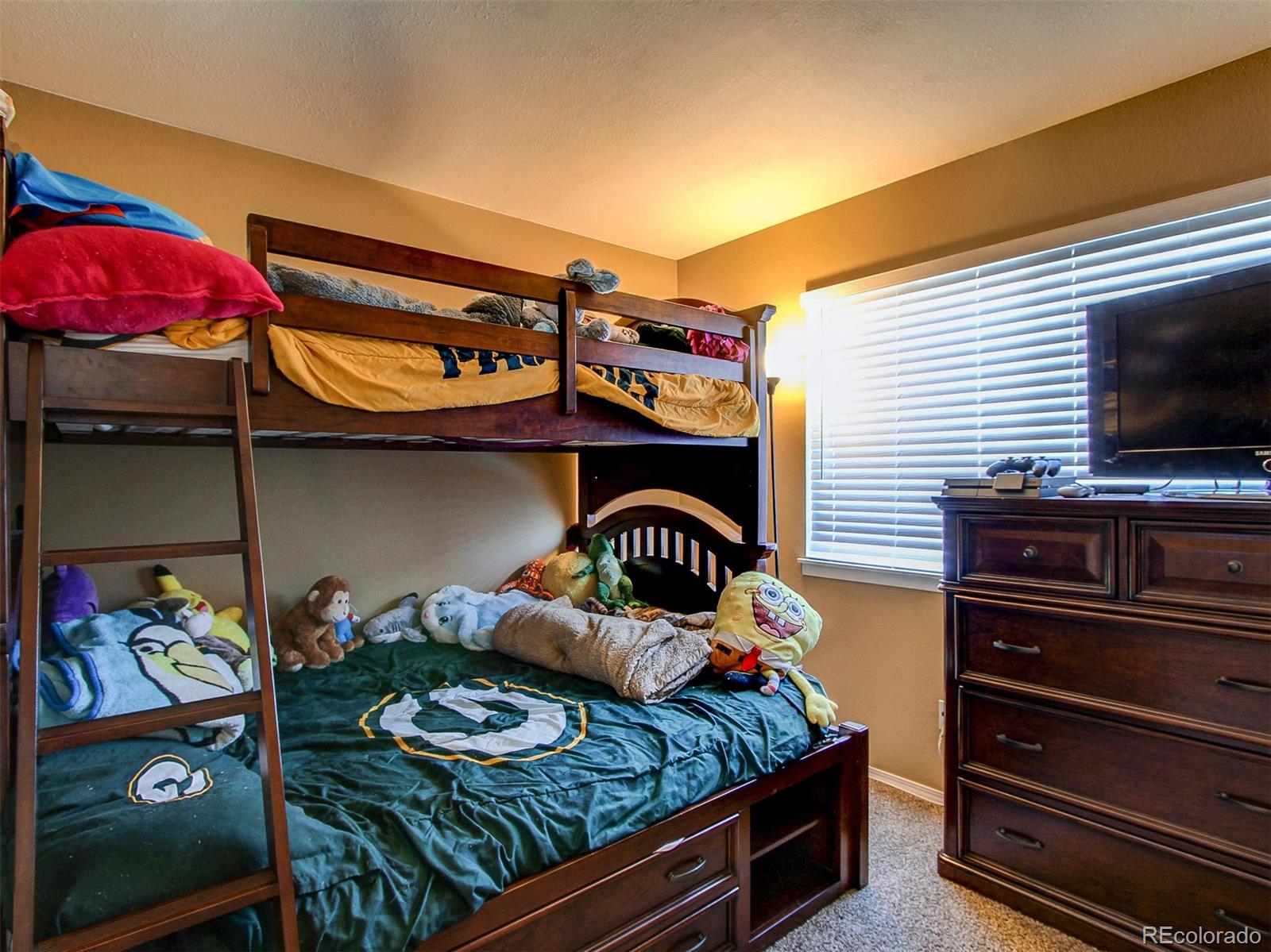 566 James Street Highlands Ranch, CO 80126 - Photo 14 of 17 Gallery Image 14