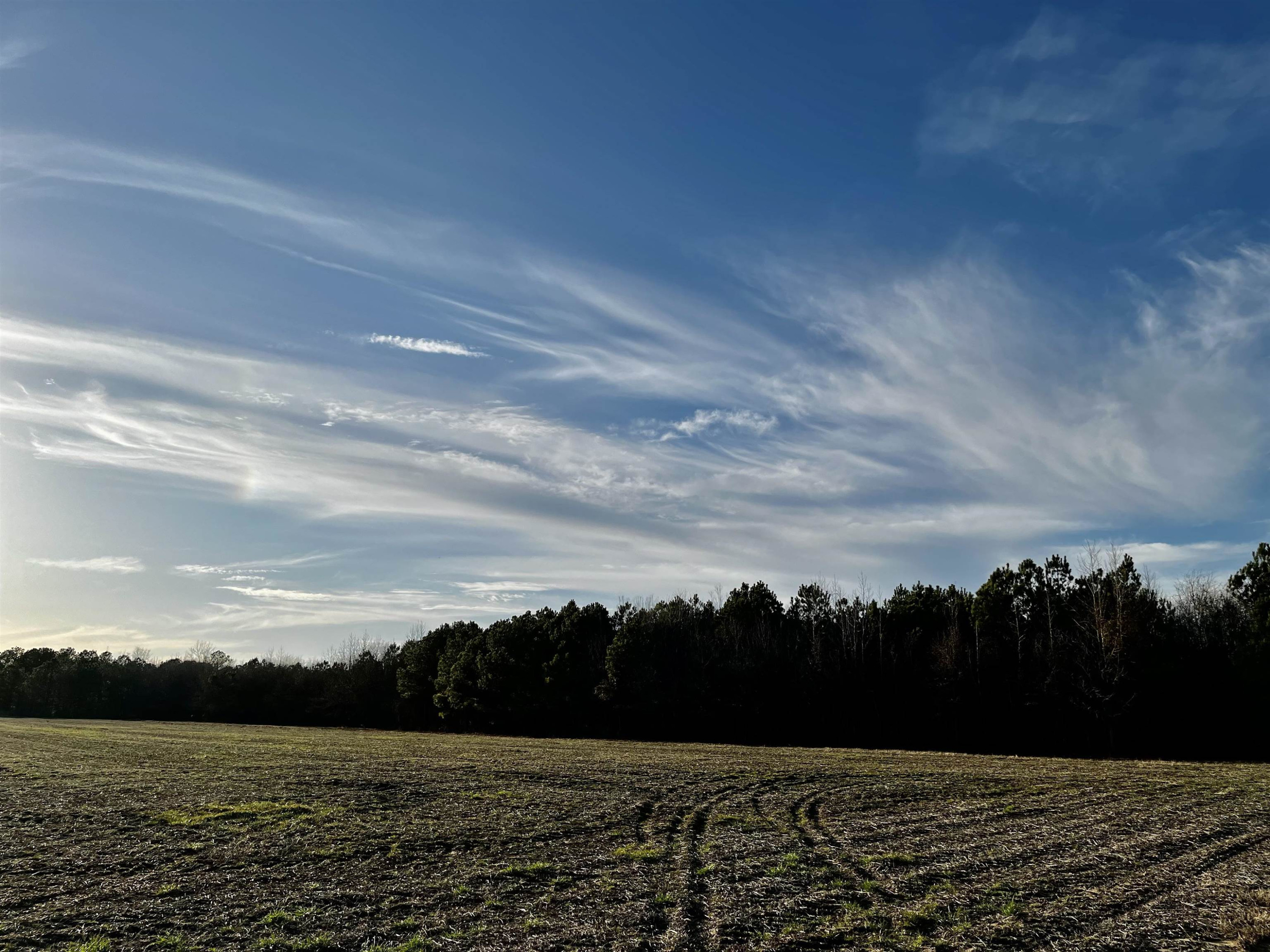 0 Harper House Road Newton Grove, NC 28366 - Photo 2 of 7 Photo 2