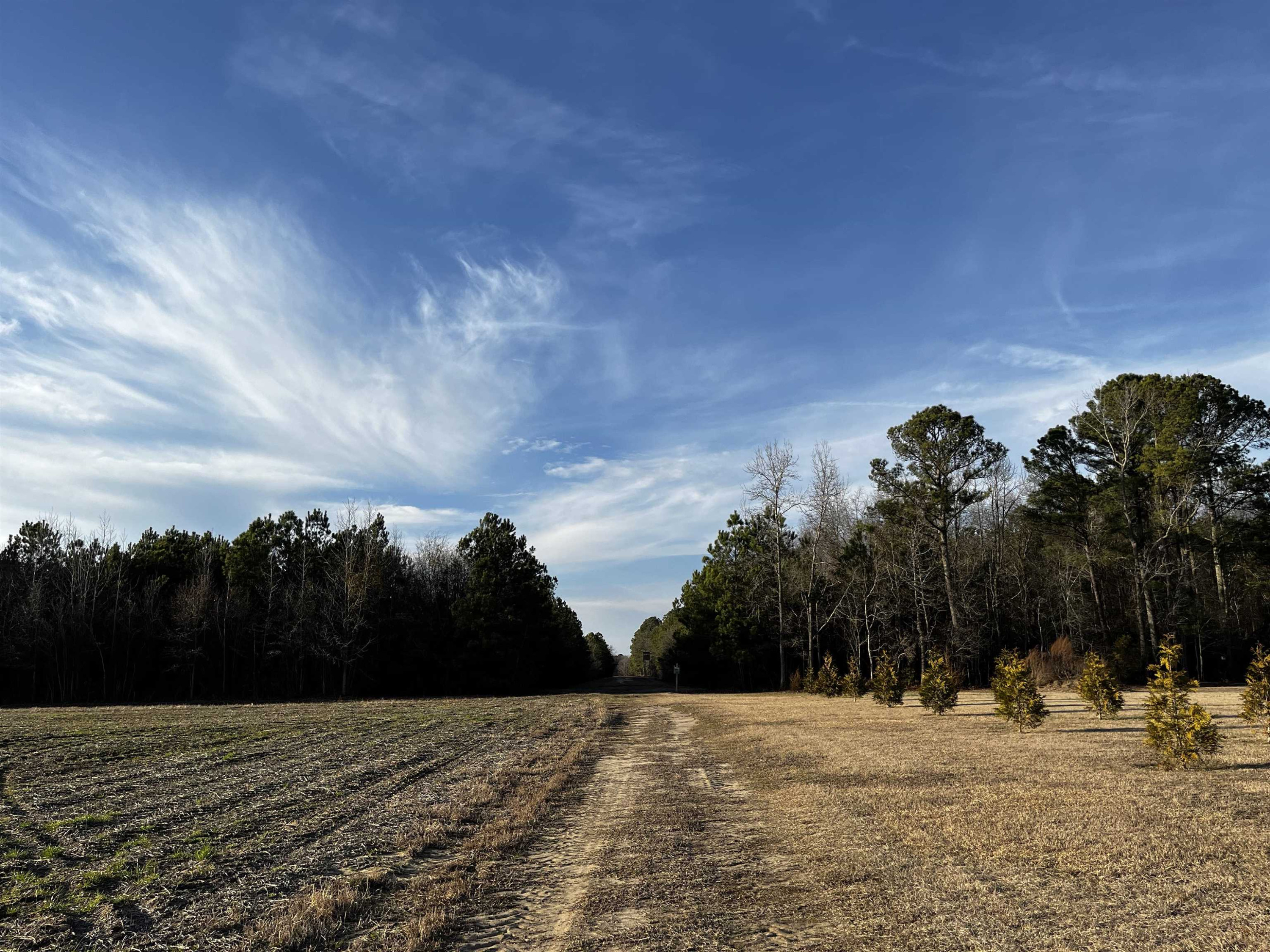 0 Harper House Road Newton Grove, NC 28366 - Photo 3 of 7 Photo 3