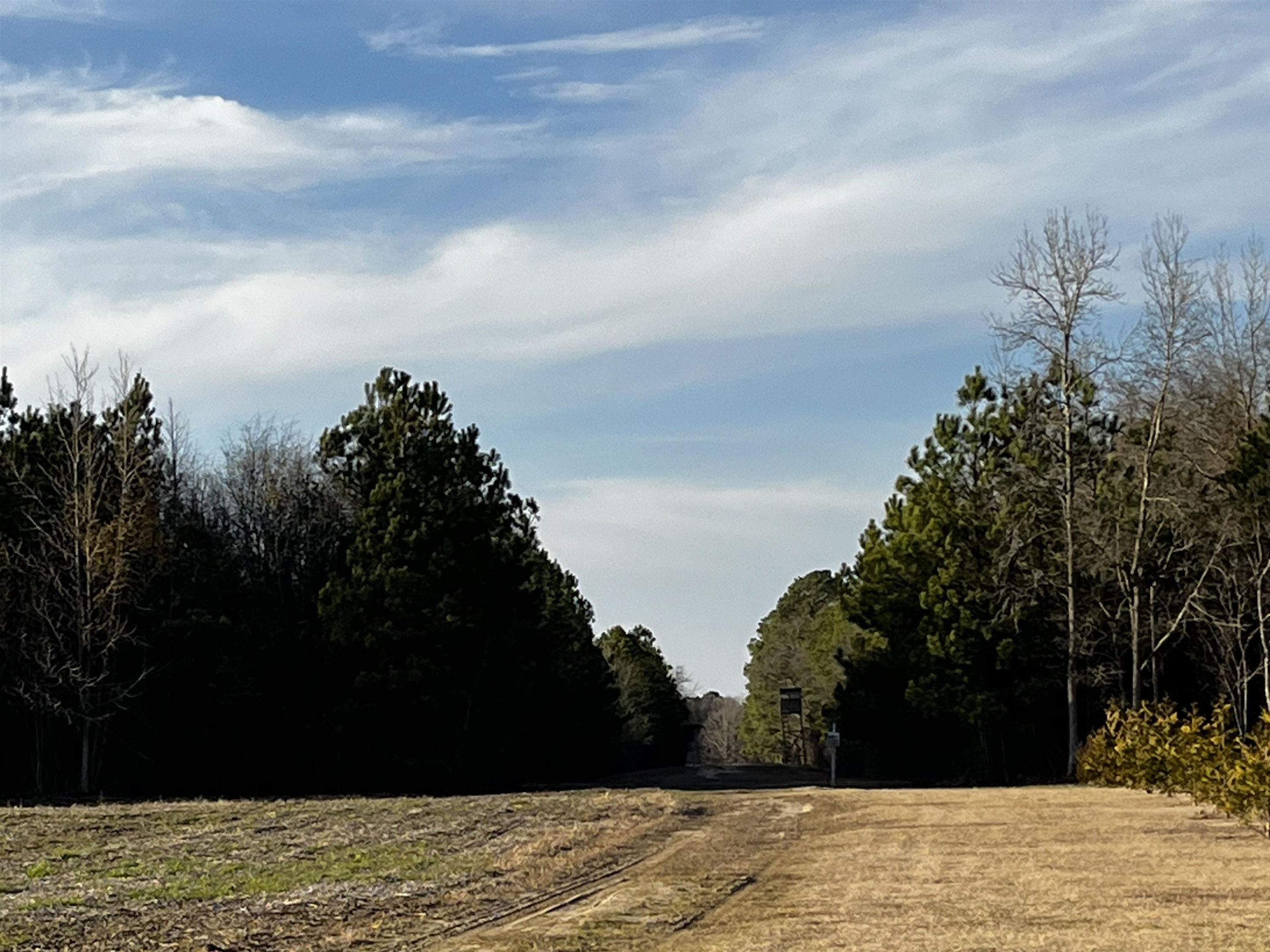 0 Harper House Road Newton Grove, NC 28366 - Photo 4 of 7 Photo 4