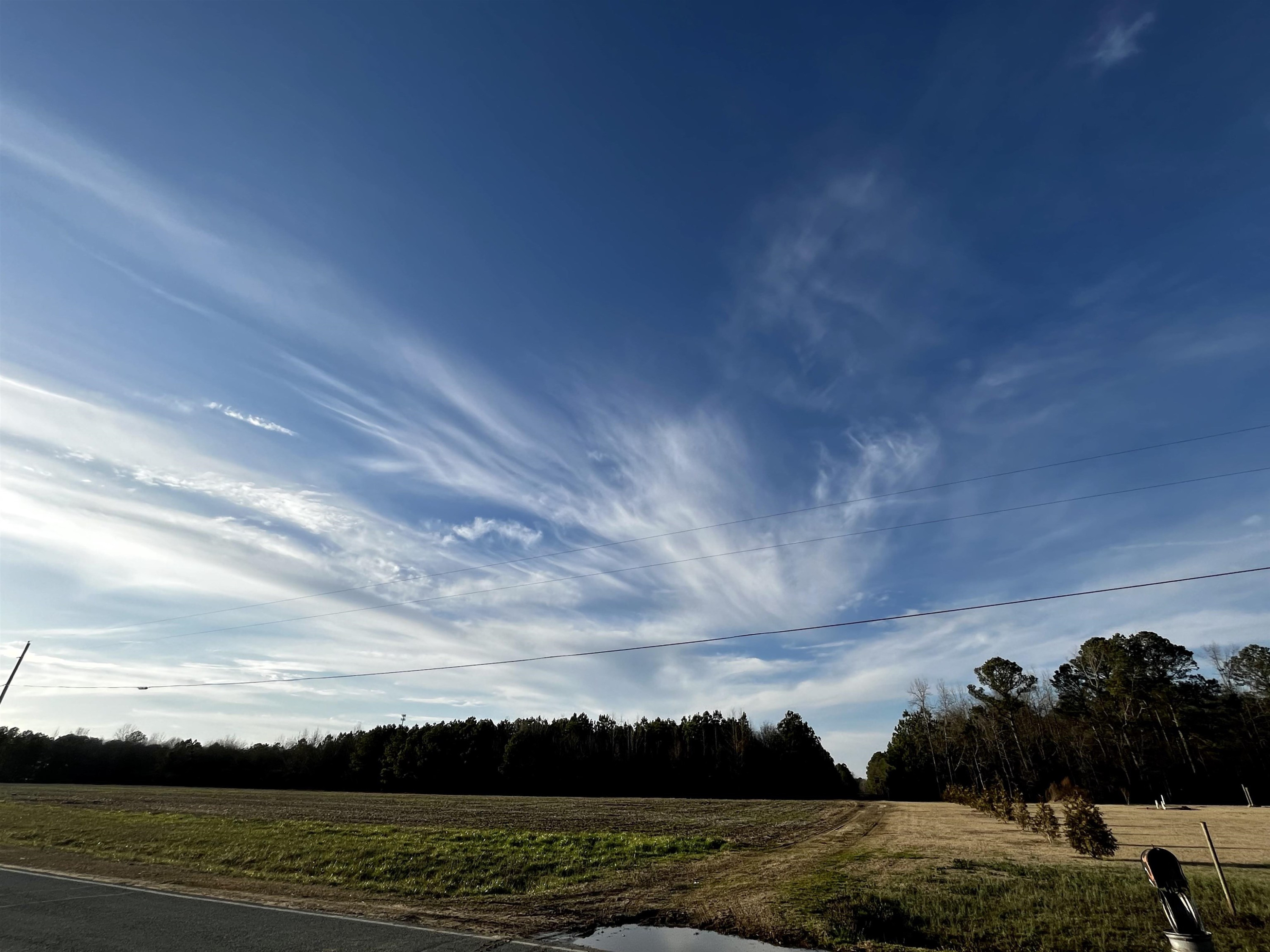 0 Harper House Road Newton Grove, NC 28366 - Photo 5 of 7 Photo 5