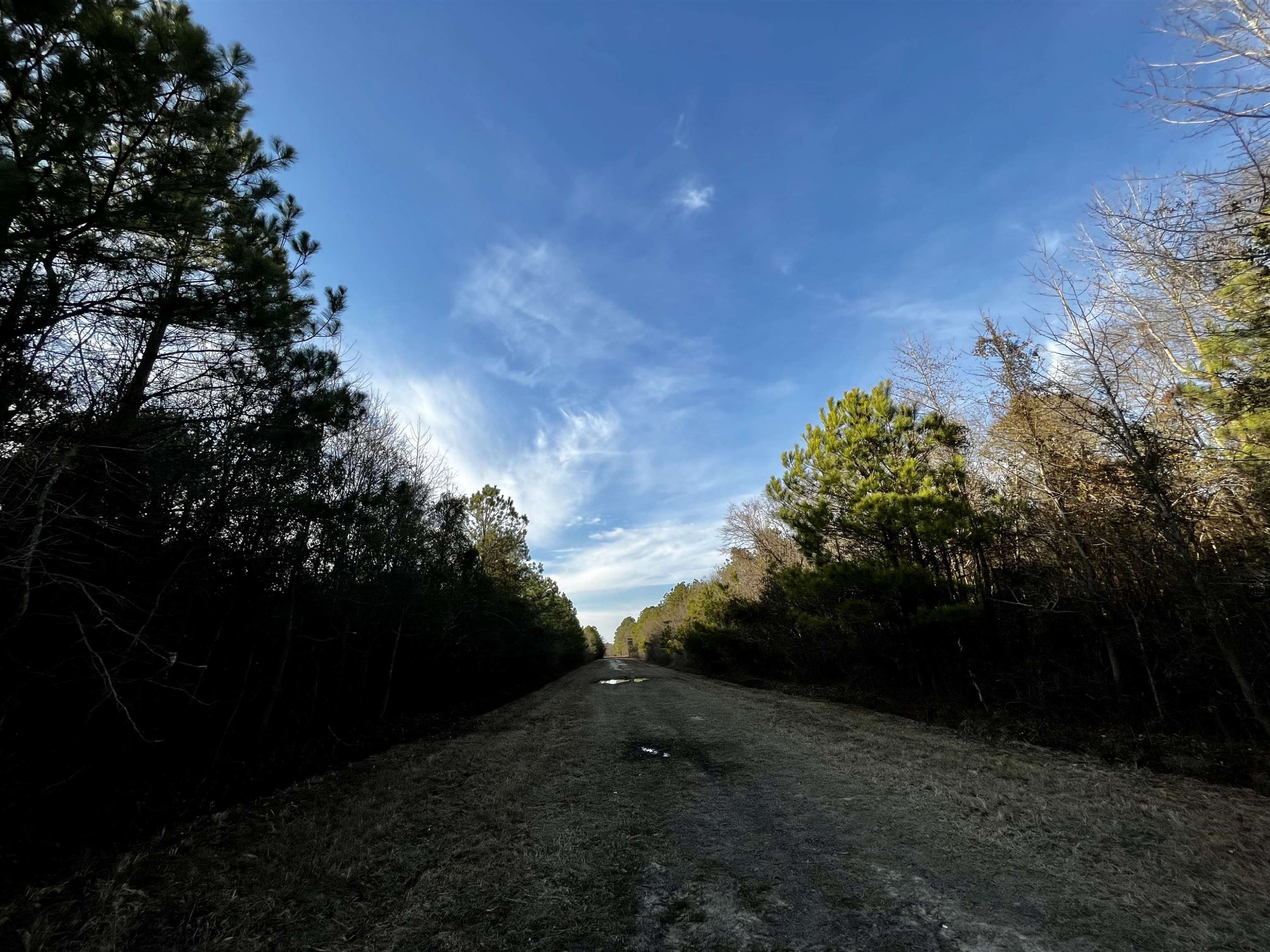 0 Harper House Road Newton Grove, NC 28366 - Photo 6 of 7 Photo 6