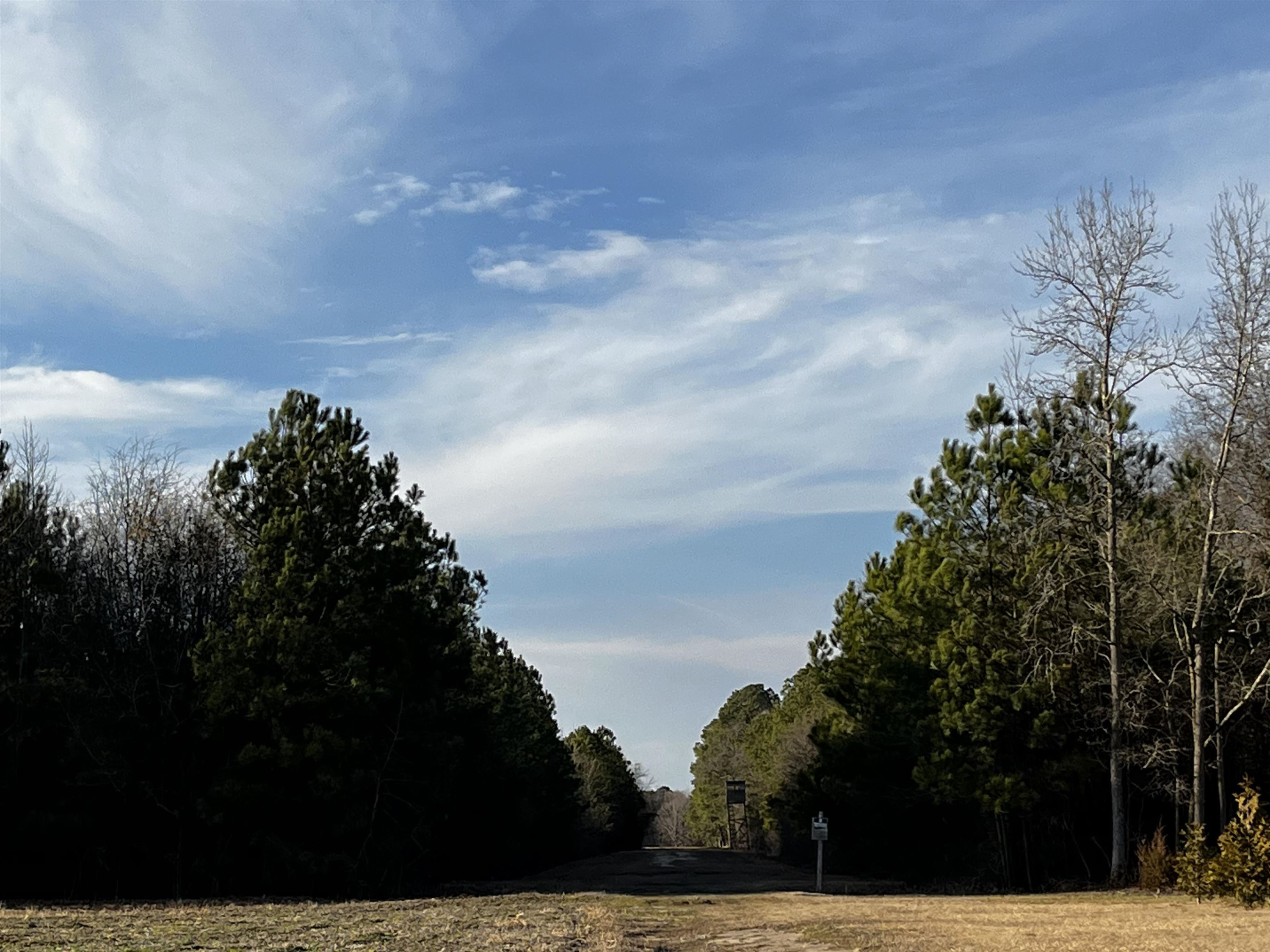 0 Harper House Road Newton Grove, NC 28366 - Photo 7 of 7 Photo 7