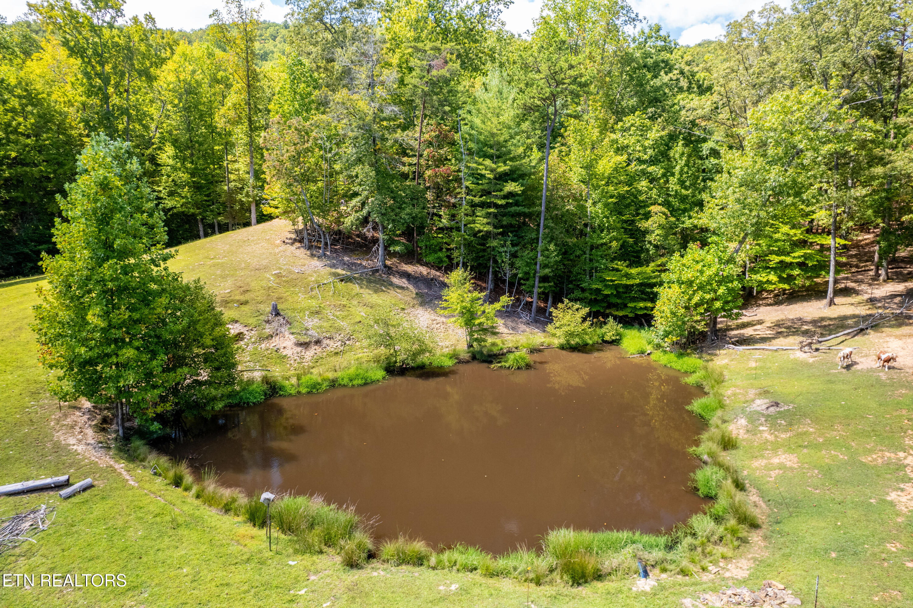 575 Ironsburg Road Tellico Plains, TN 37385 - Photo 33 of 60 575IronsburgRd-71