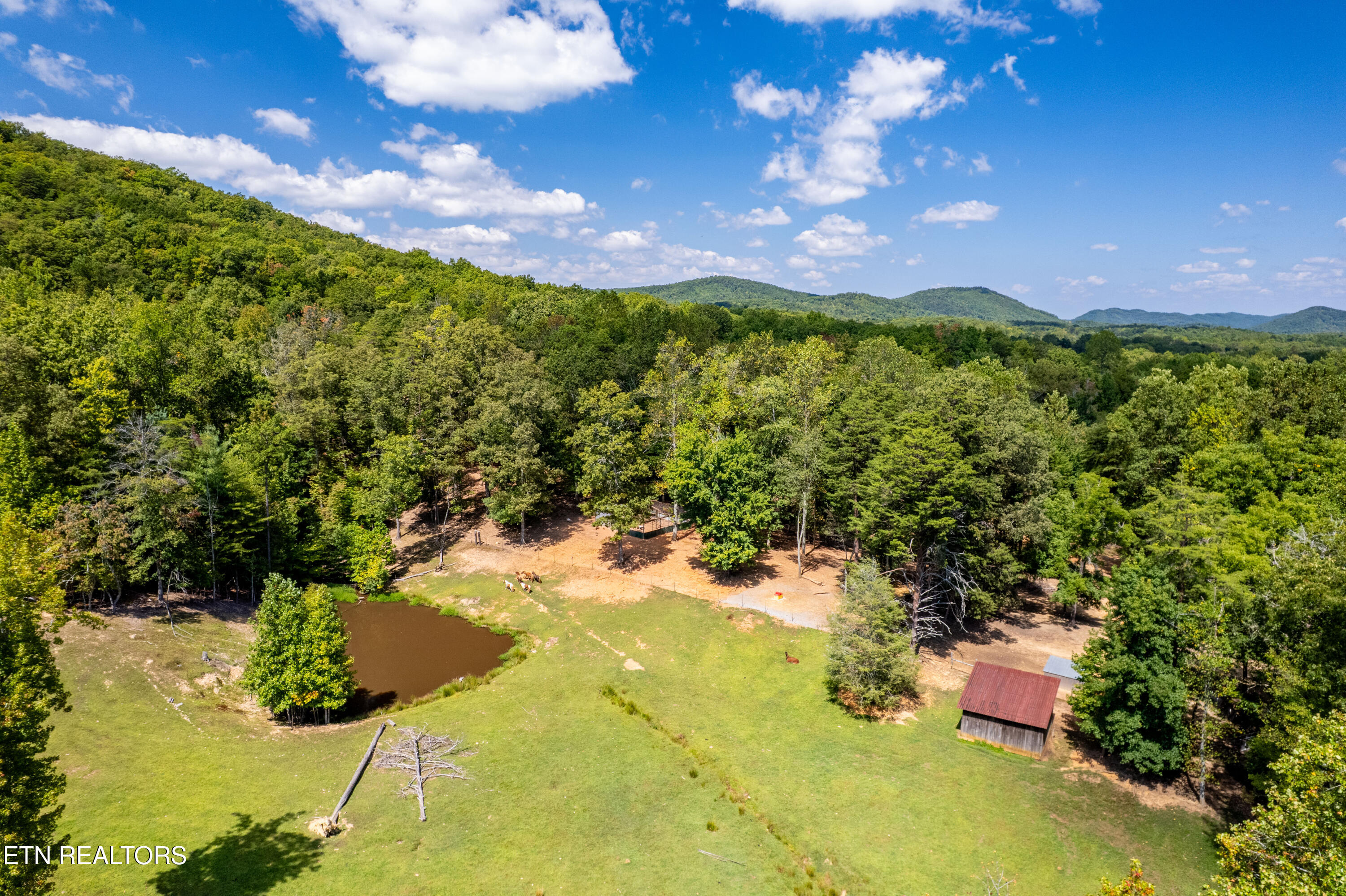 575 Ironsburg Road Tellico Plains, TN 37385 - Photo 34 of 60 575IronsburgRd-70