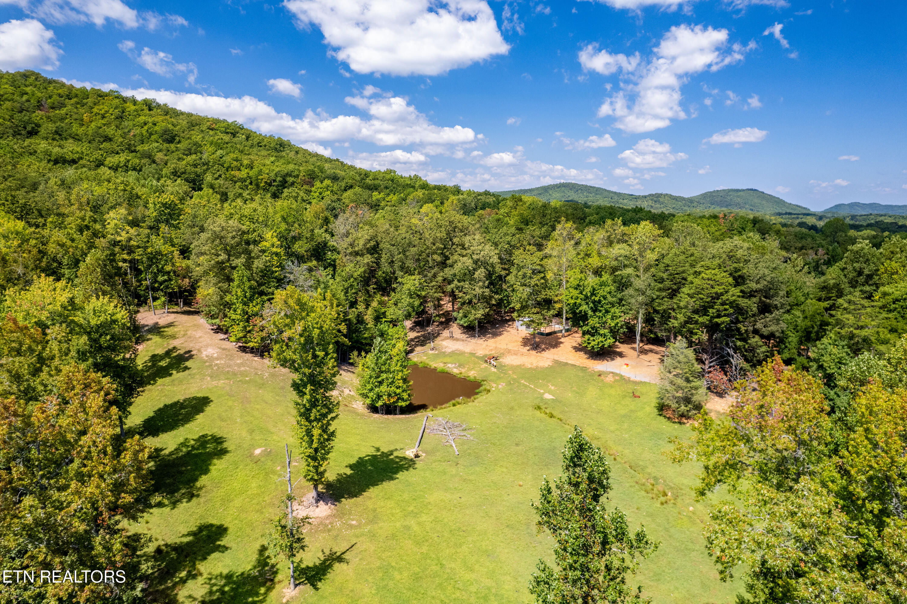 575 Ironsburg Road Tellico Plains, TN 37385 - Photo 36 of 60 575IronsburgRd-69