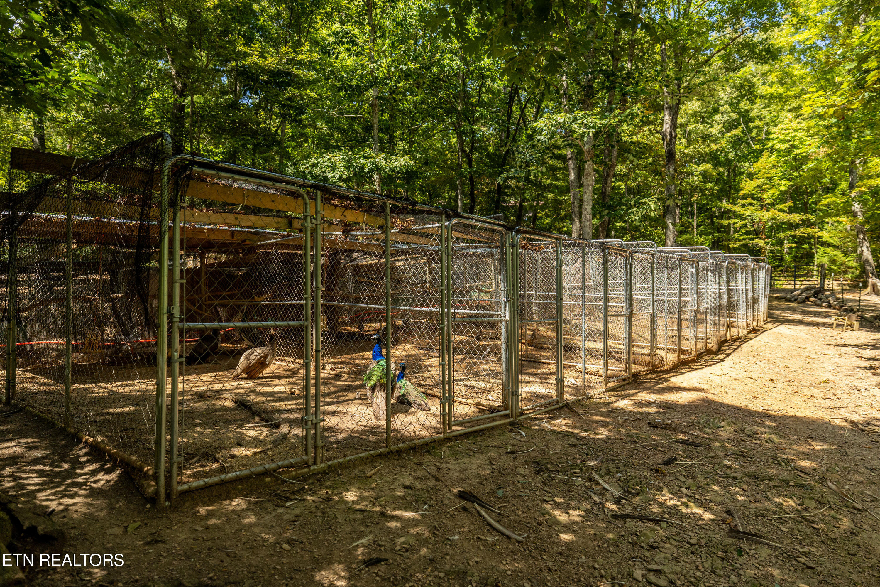 575 Ironsburg Road Tellico Plains, TN 37385 - Photo 40 of 60 575IronsburgRd-45