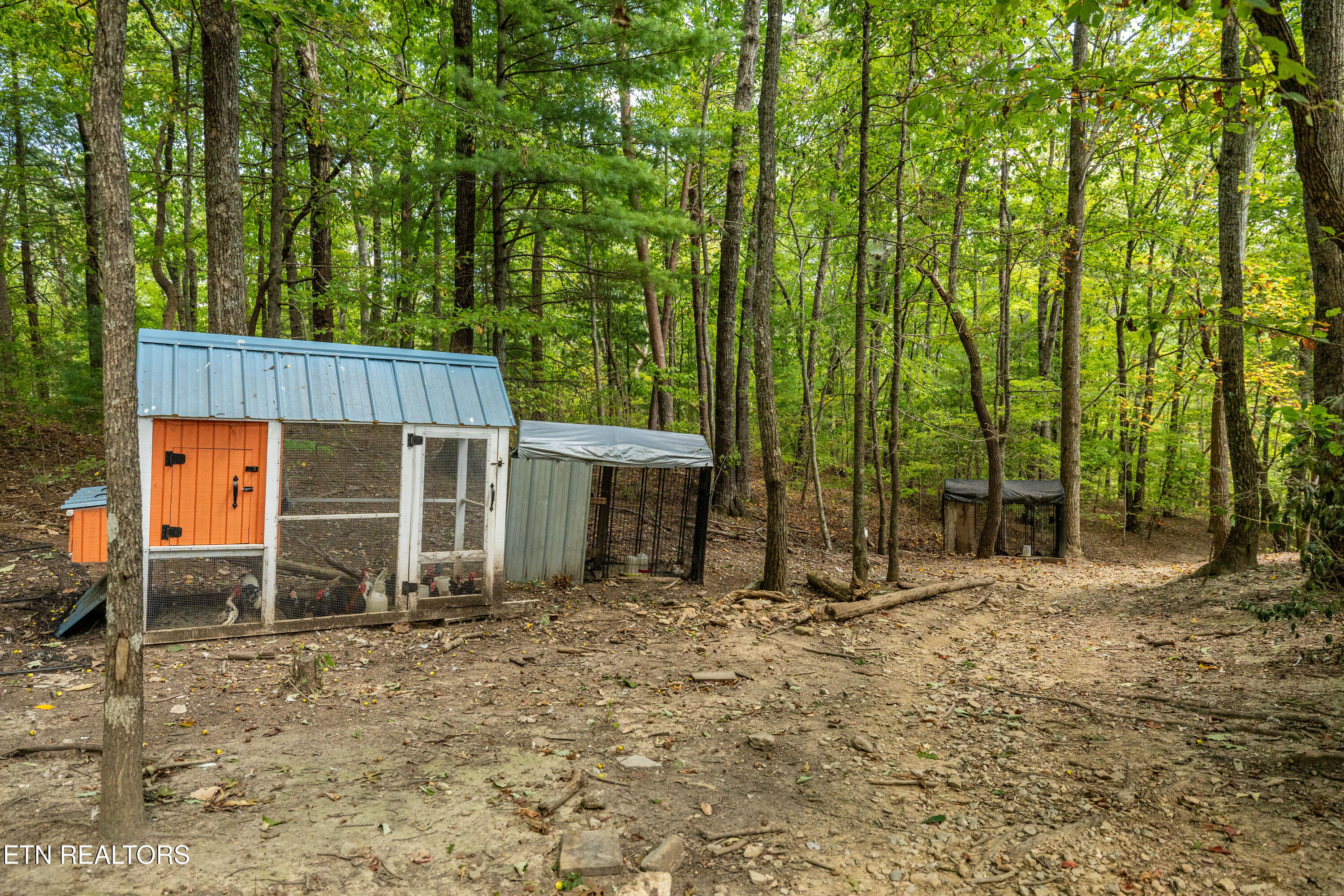 575 Ironsburg Road Tellico Plains, TN 37385 - Photo 41 of 60 575IronsburgRd-52