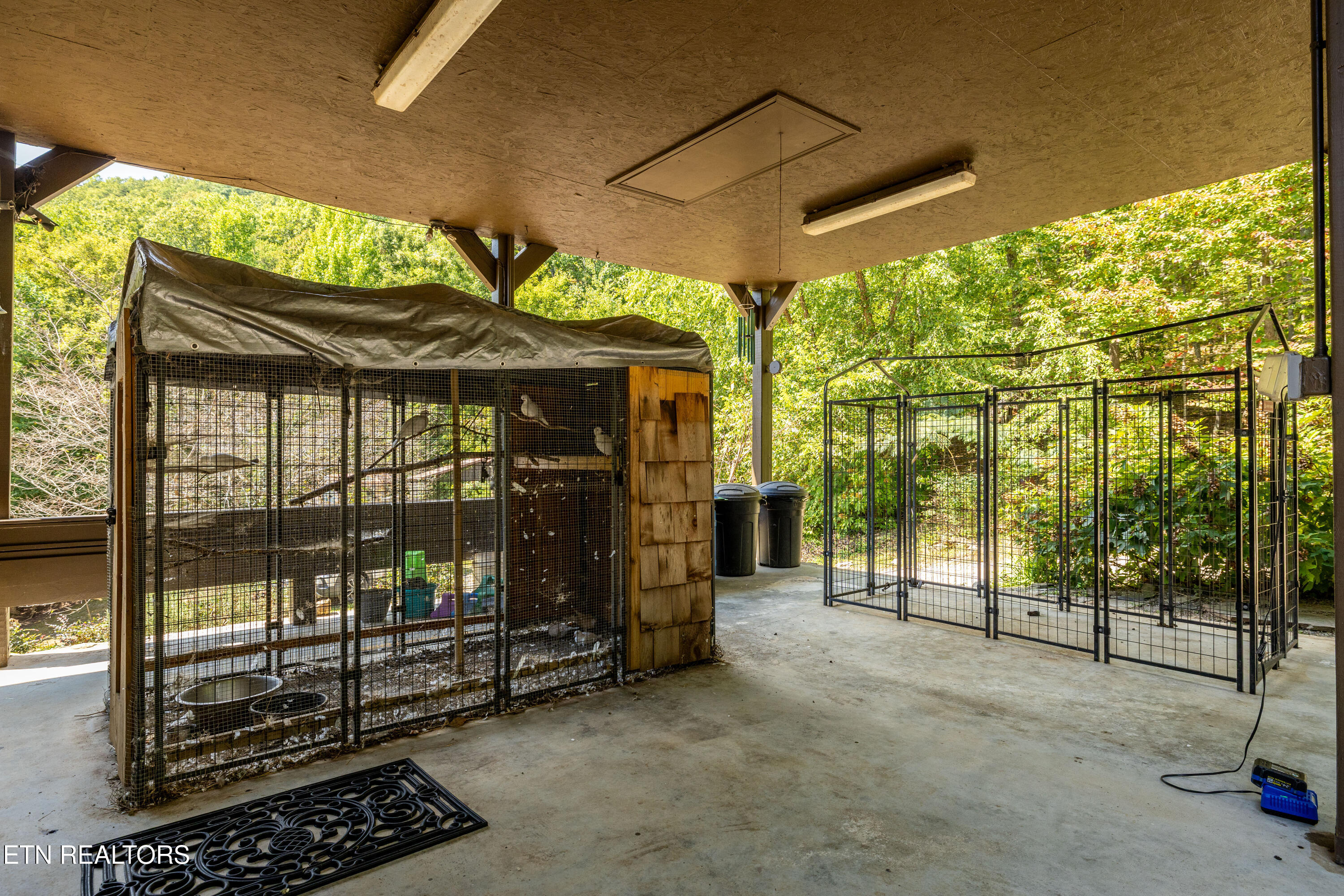 575 Ironsburg Road Tellico Plains, TN 37385 - Photo 43 of 60 575IronsburgRd-29