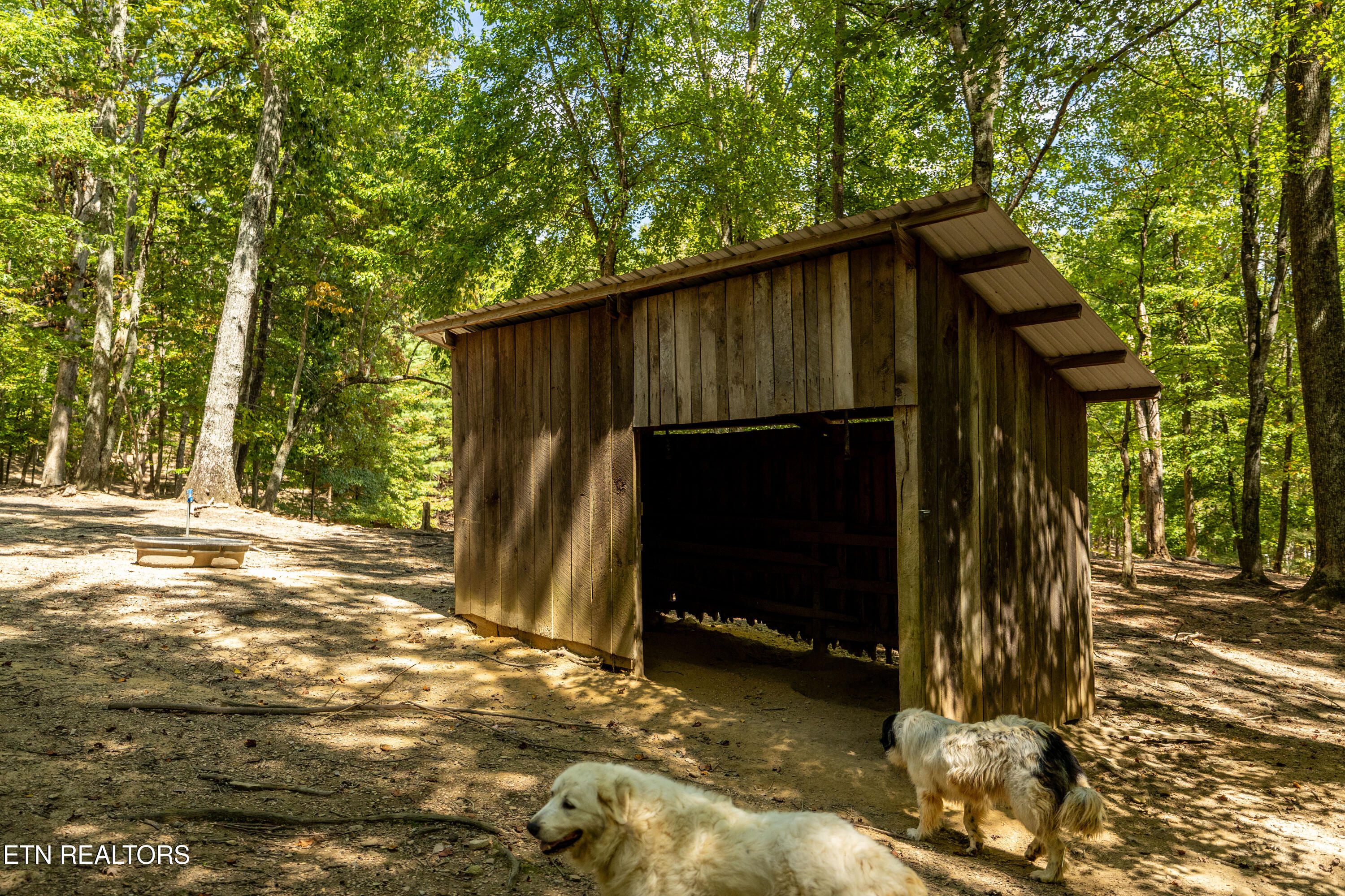 575 Ironsburg Road Tellico Plains, TN 37385 - Photo 50 of 60 575IronsburgRd-44