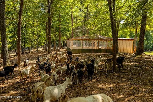 $1,199,000 | 575 Ironsburg Road, Tellico Plains, TN 37385