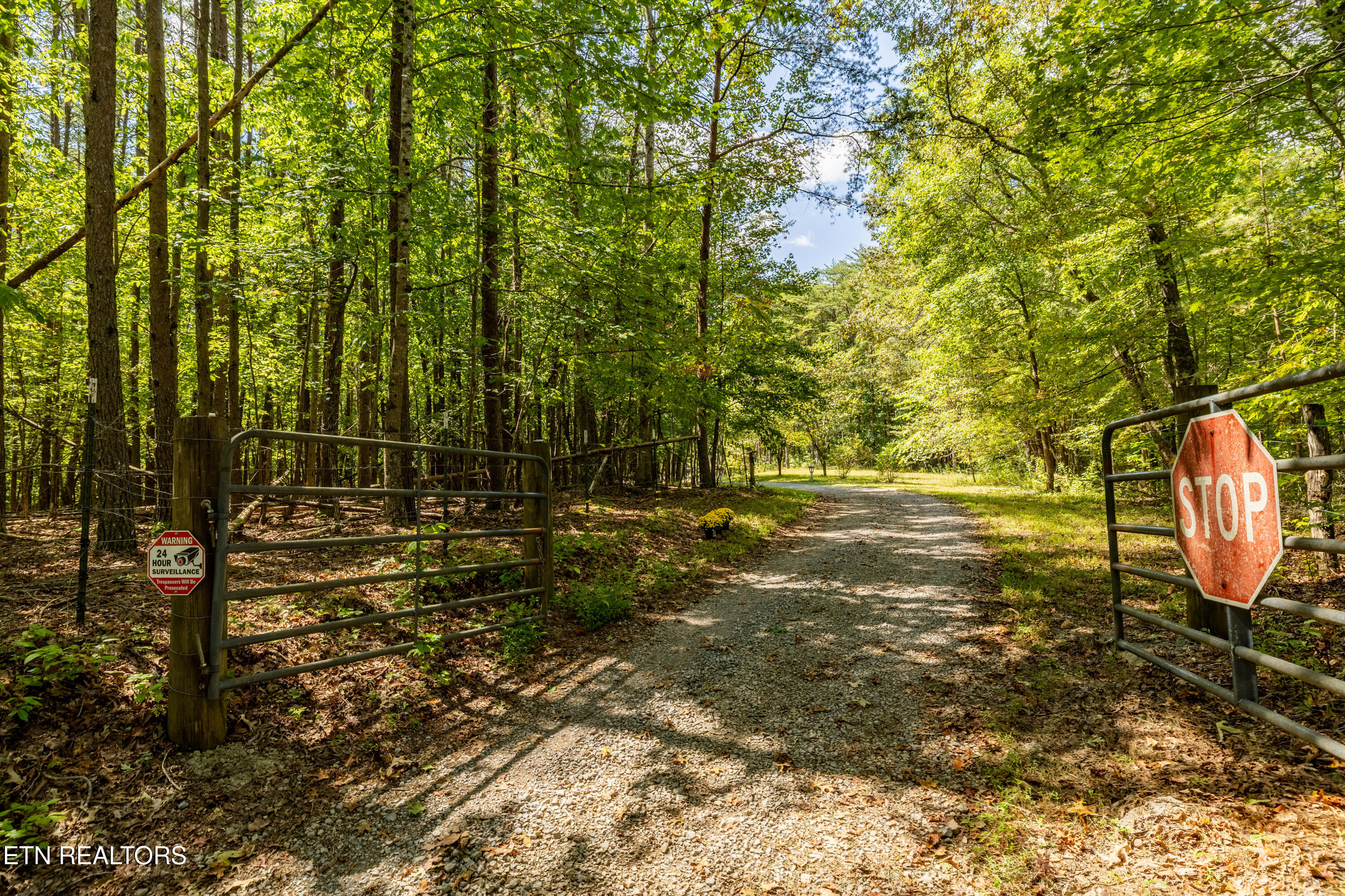 575 Ironsburg Road Tellico Plains, TN 37385 - Photo 54 of 60 575IronsburgRd-77