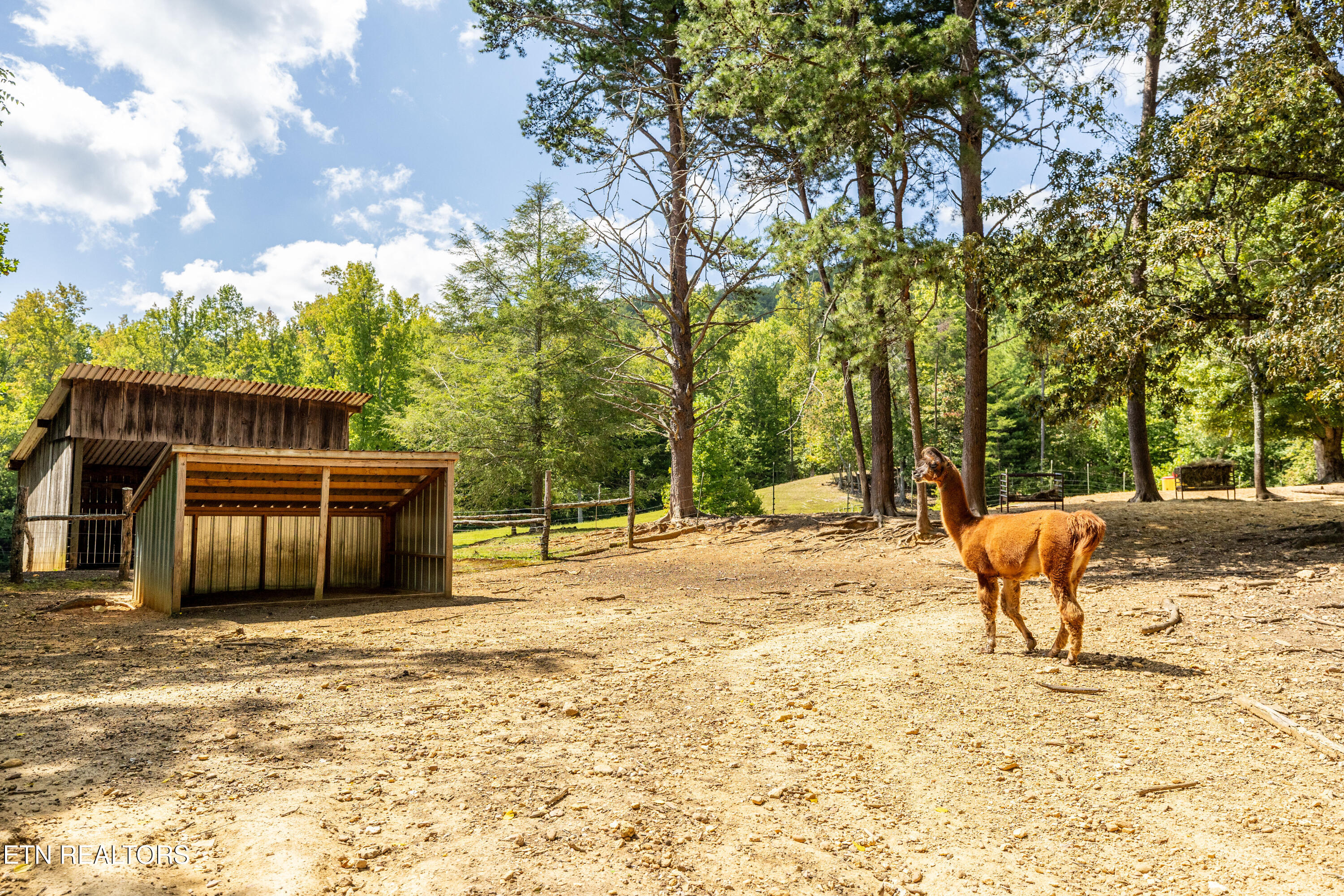 575 Ironsburg Road Tellico Plains, TN 37385 - Photo 57 of 60 575IronsburgRd-37