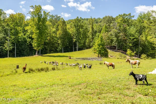 $1,199,000 | 575 Ironsburg Road, Tellico Plains, TN 37385