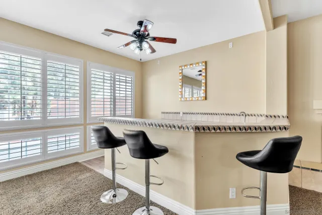 a view of a yard with plants and trees