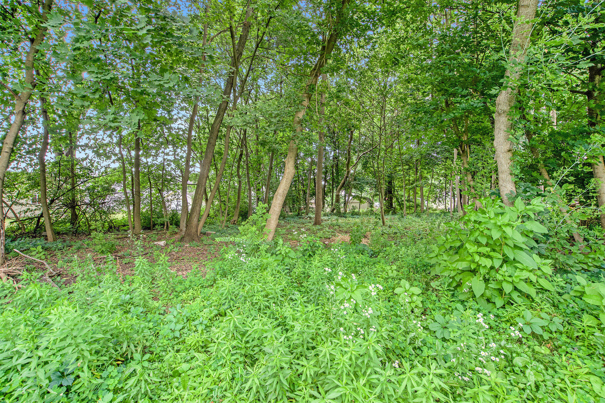 240 Stillwell Avenue Michigan Center, MI 49254 - Photo 24 of 26 026_dsc08203_814