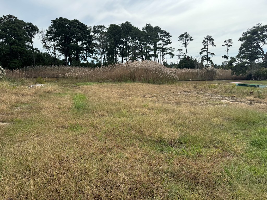 Lot 76 Main Street, Unit 76 Melfa, VA 23410 - Photo 5 of 8