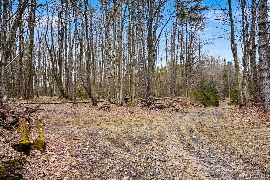4474 Townline Road Yorkshire, NY 14042 - Photo 41 of 50