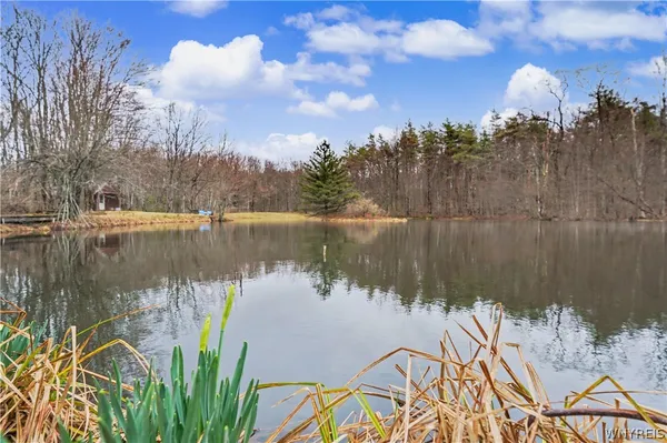 $579,900 | 4474 Townline Road, Yorkshire, NY 14042