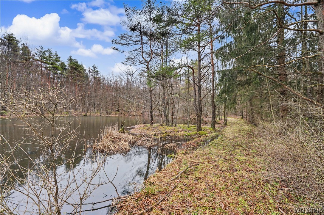 4474 Townline Road Yorkshire, NY 14042 - Photo 43 of 50