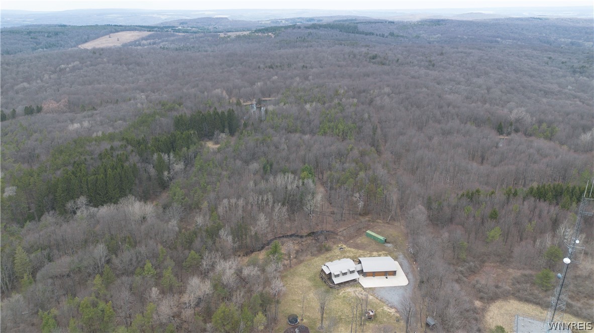 4474 Townline Road Yorkshire, NY 14042 - Photo 46 of 50