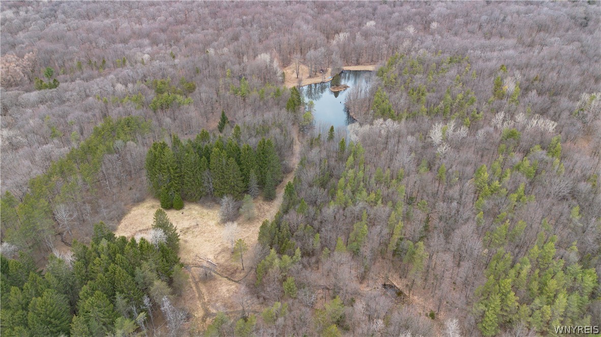 4474 Townline Road Yorkshire, NY 14042 - Photo 47 of 50