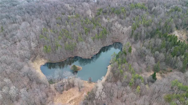 $579,900 | 4474 Townline Road, Yorkshire, NY 14042