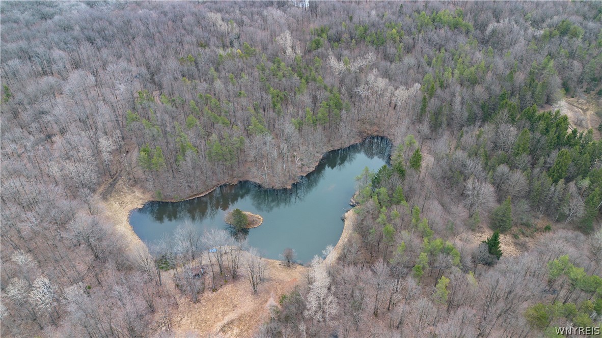 4474 Townline Road Yorkshire, NY 14042 - Photo 48 of 50