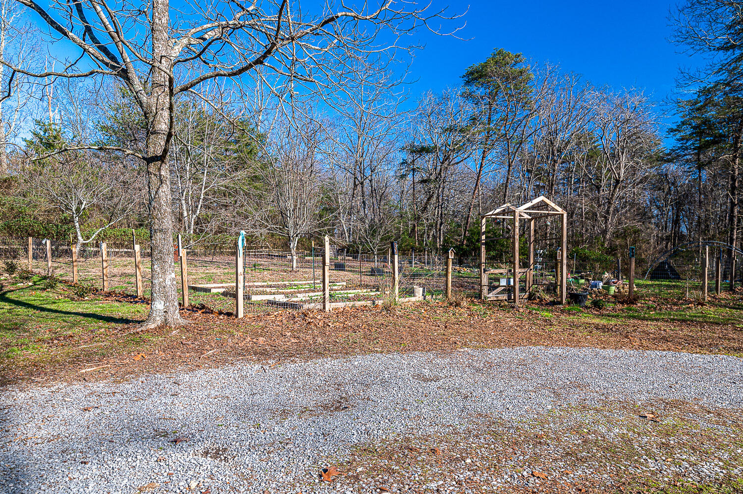 2920 Corral Road Signal Mountain, TN 37377 - Photo 8 of 24 0366D8FE-2A78-43D7-B3DD-C20D4DFE2902