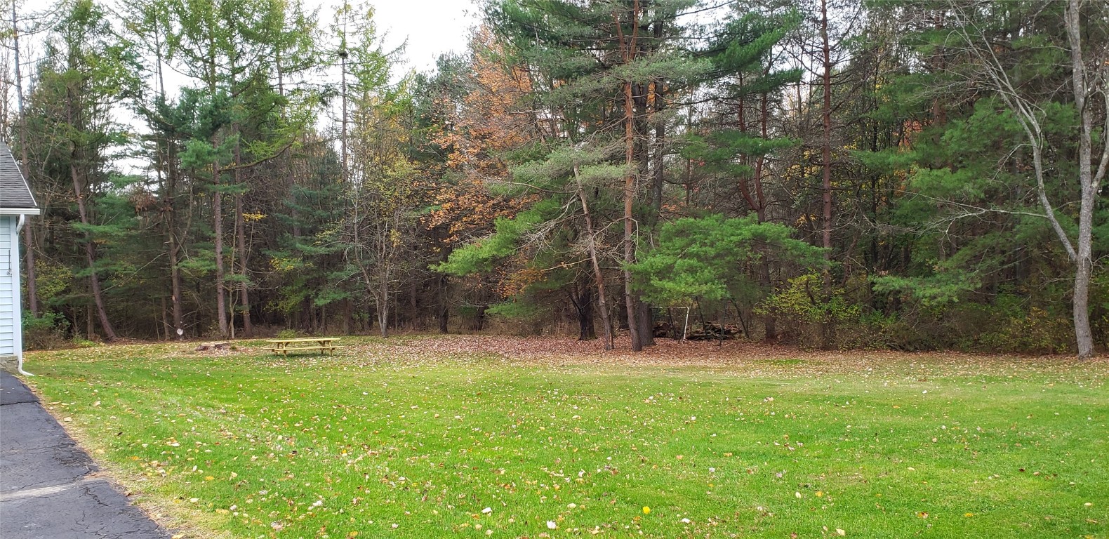 790 Pultz Hill Road Owego, NY 13827 - Photo 3 of 28 Gallery Image 3