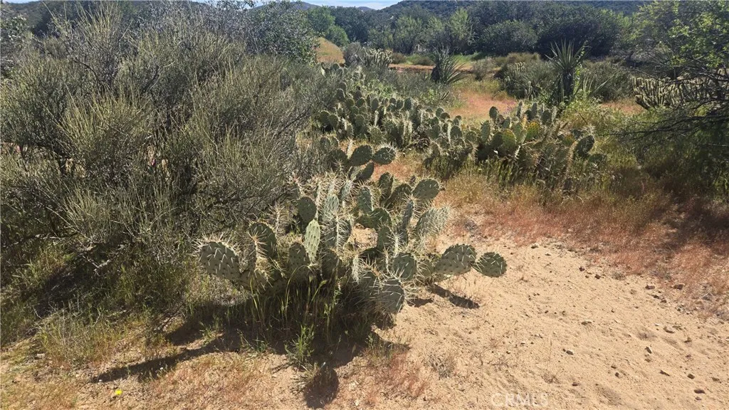 0 Covered Wagon Trail Anza, CA 92539 - Photo 11 of 17