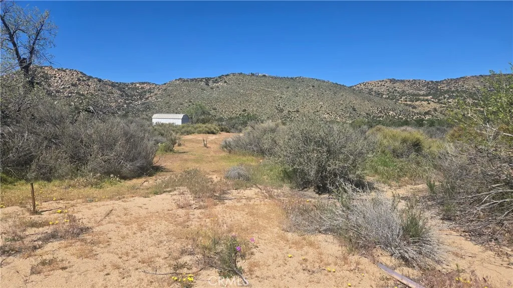 0 Covered Wagon Trail Anza, CA 92539 - Photo 14 of 17