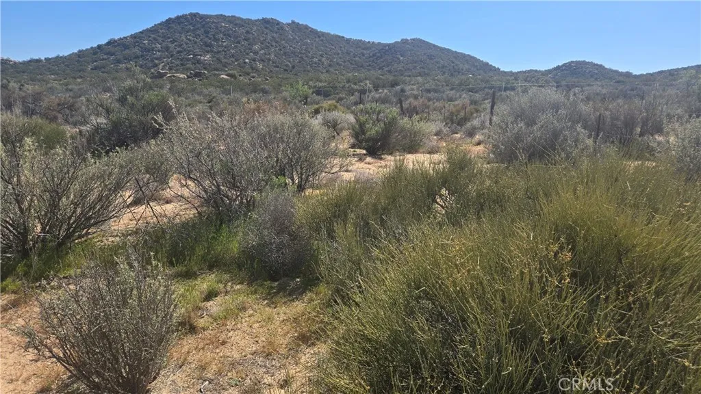 0 Covered Wagon Trail Anza, CA 92539 - Photo 15 of 17